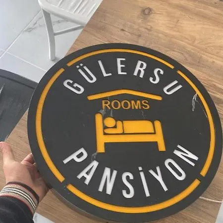 Gulersu ホームステイ